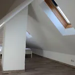 Three-Bedroom Apartment On Peldu 19